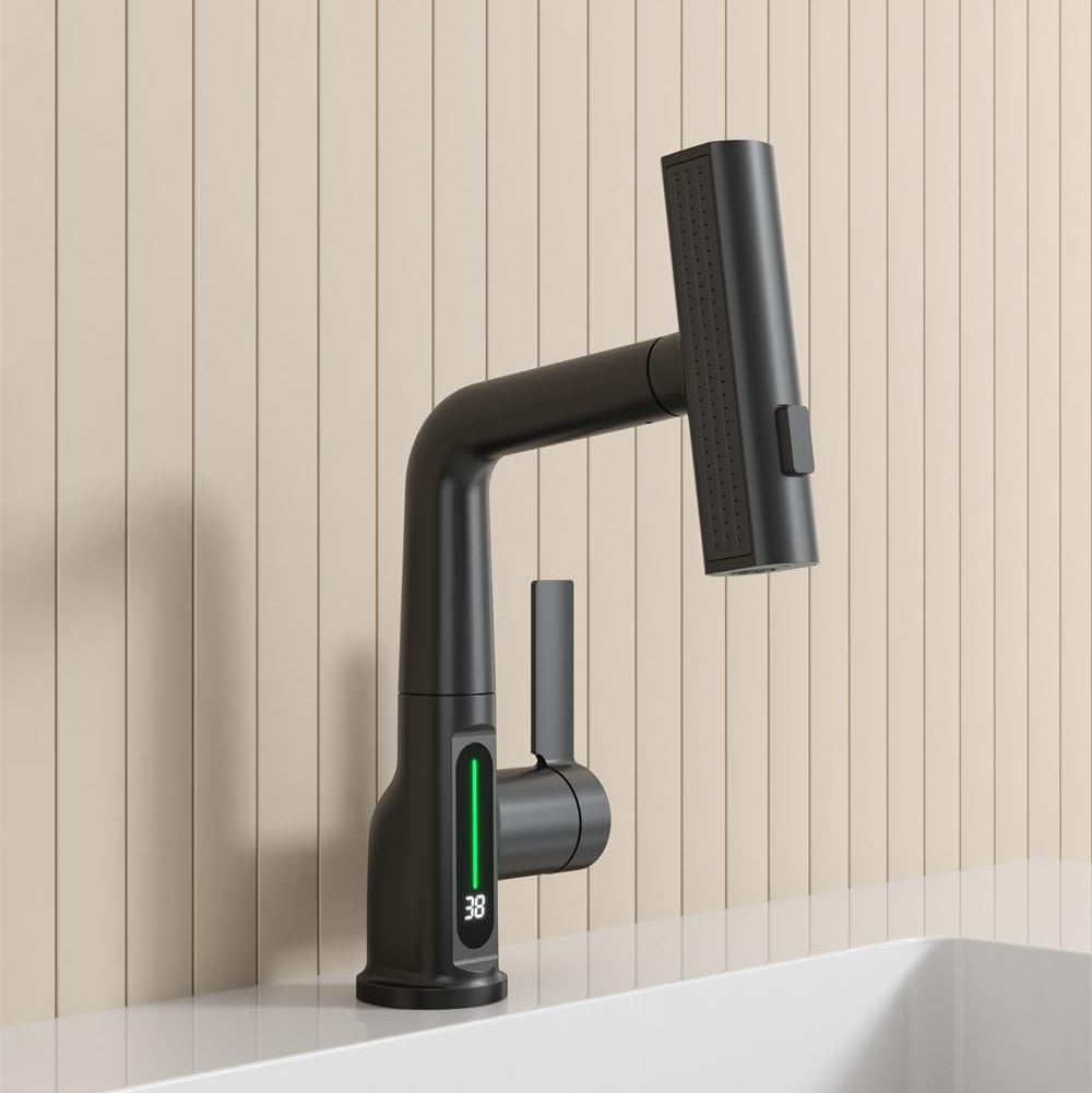 Black faucet with temperature screen